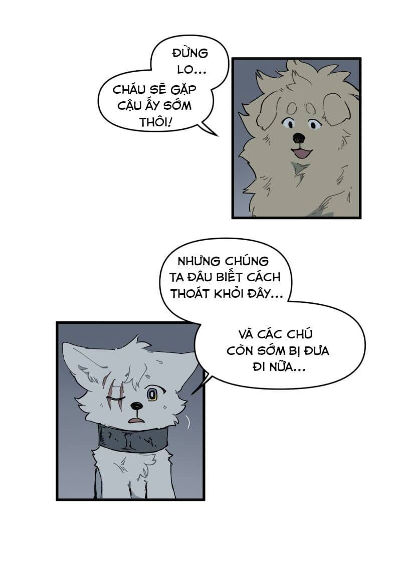 lumine - cội nguồn ánh sáng chapter 146 30