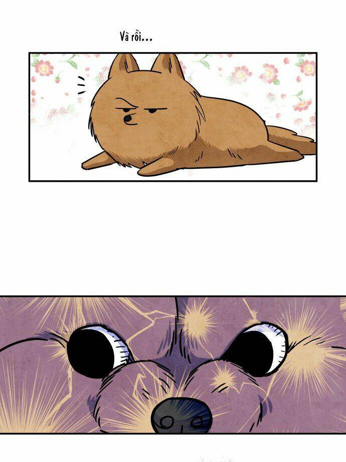 tai sói và mũ đỏ chapter 31 11