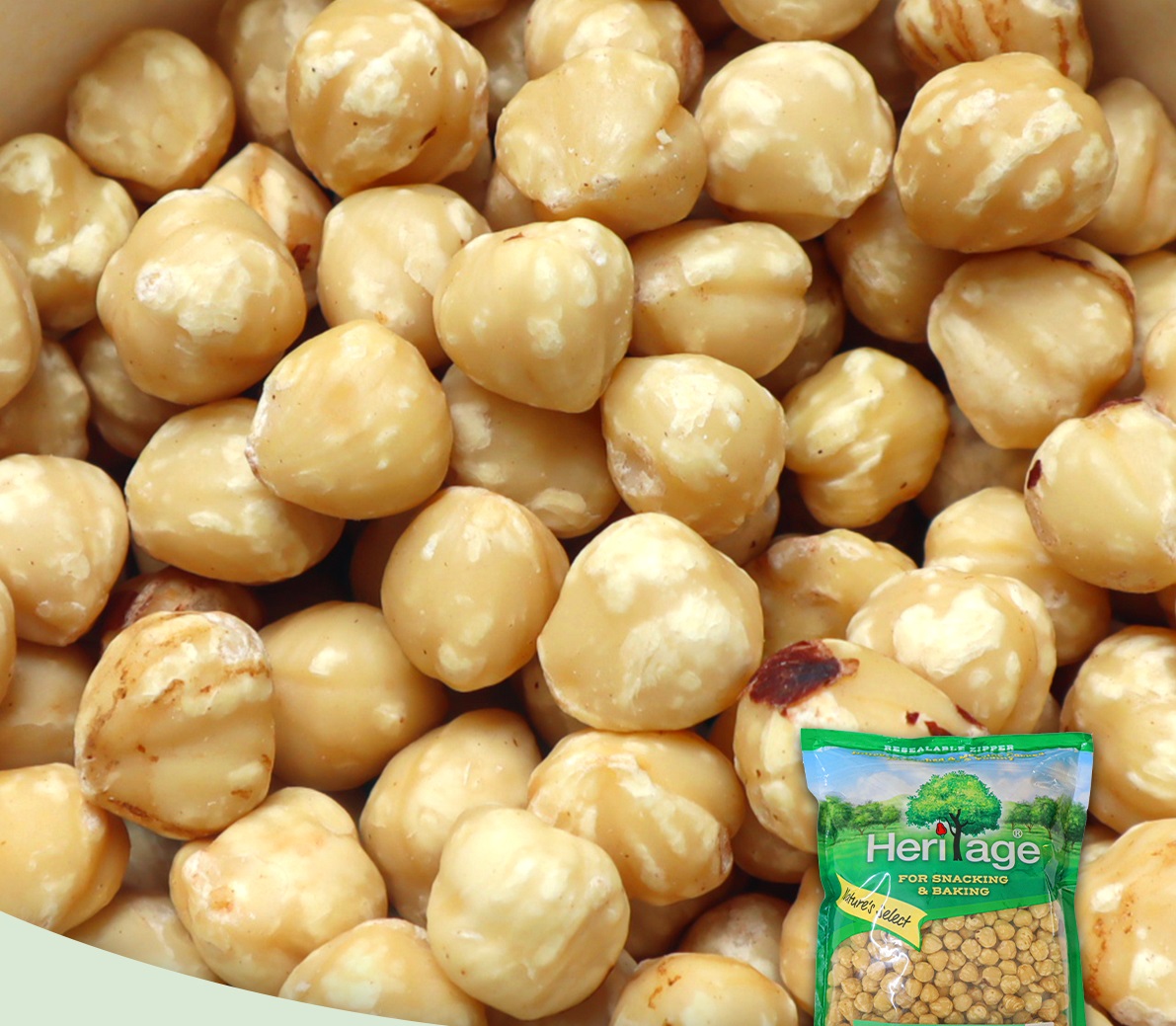 HẠT PHỈ - HAZELNUTS HERITAGE