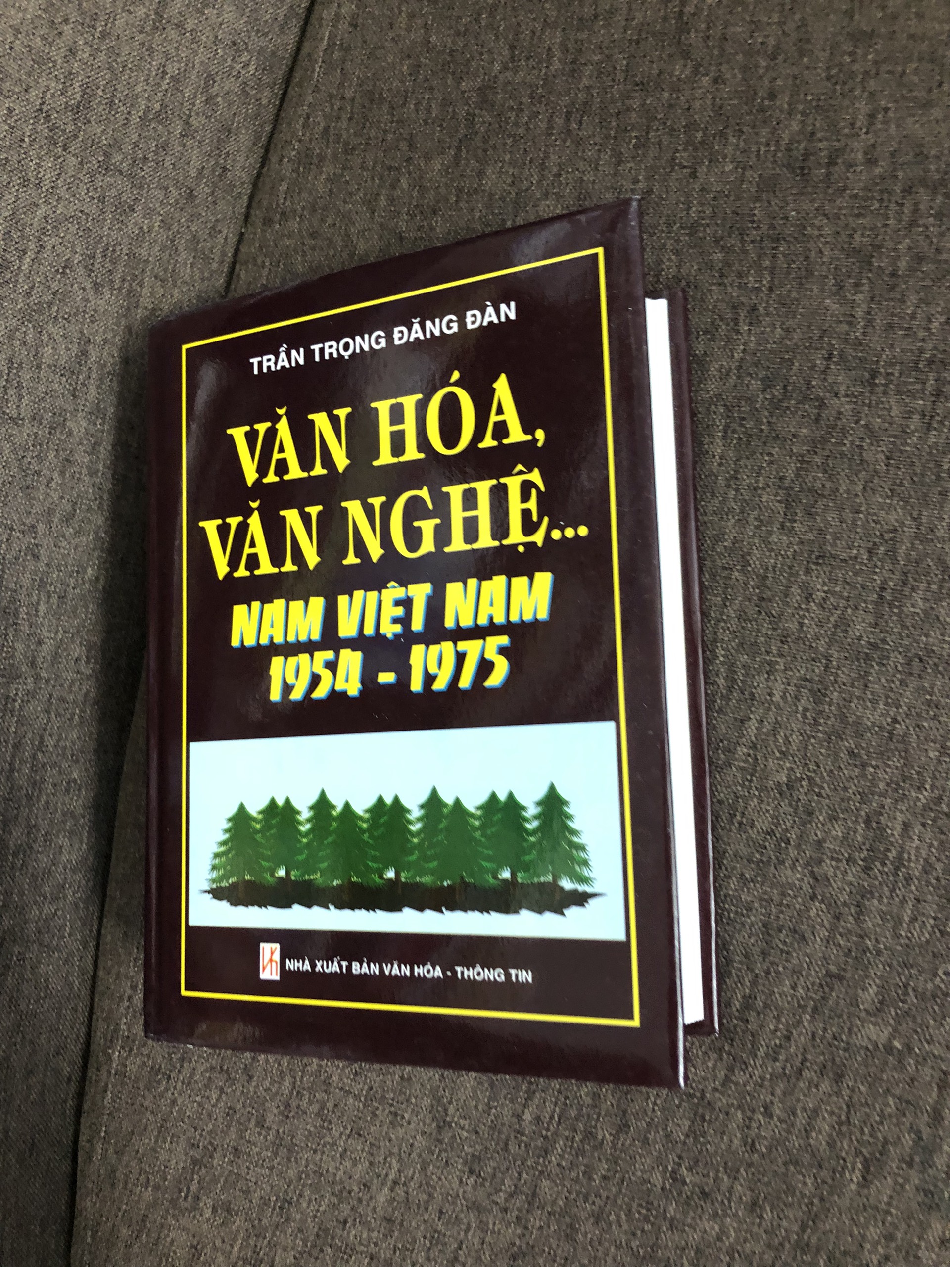 Văn Hóa Văn Nghệ Miền Nam Việt Nam 1954 - 1975 (Trần Trọng Đăng Đàn)