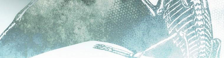 cổ tích về người mẹ kế chapter 90 211