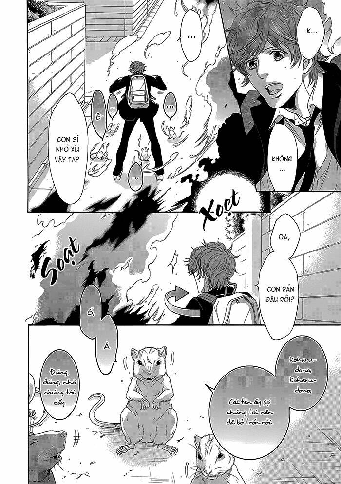 oinarisama no honey bunny chapter 12 14