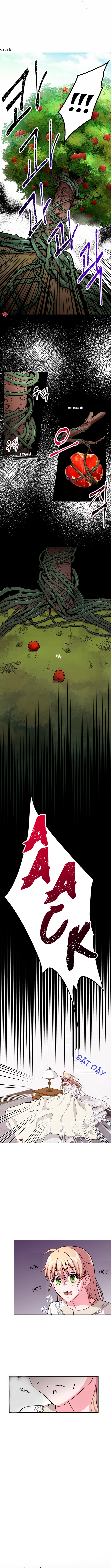 cuộc tuyển chọn thái tử phi chapter 2 4