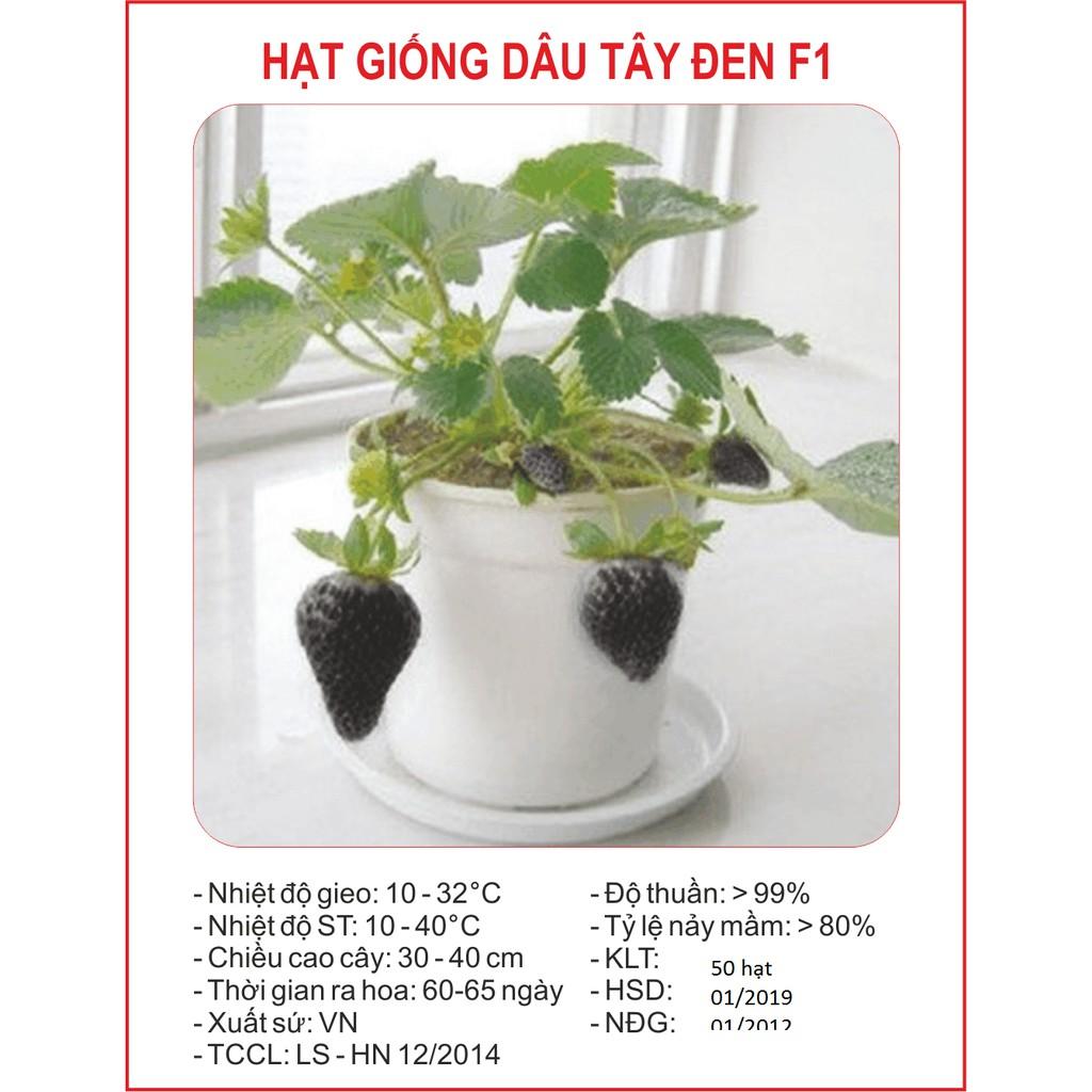 Hạt Giống Dâu Tây Đen F1 100 hạt/gói