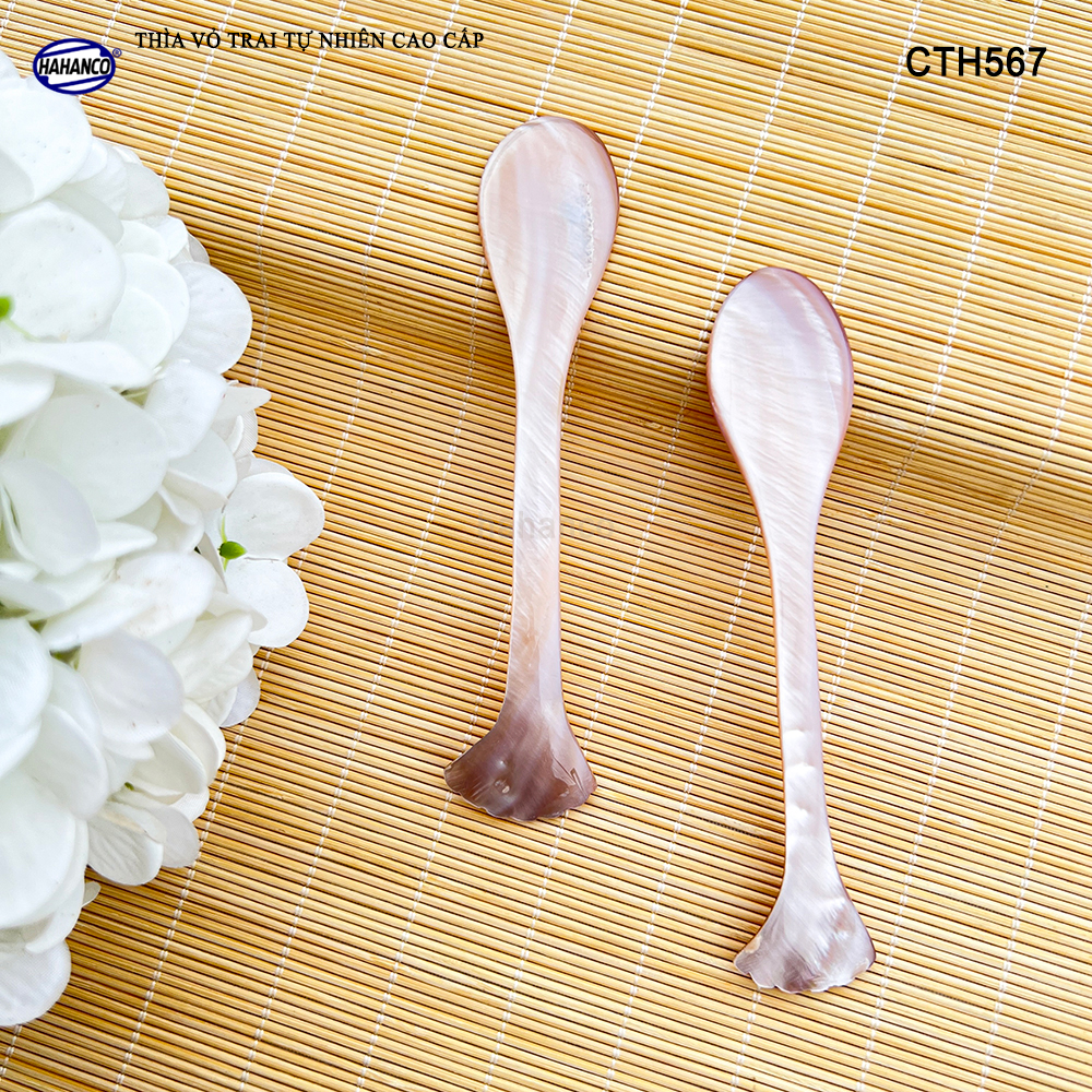 Muỗng Cà Phê Gia Vị Bằng Xà Cừ Tiêu Chuẩn Xuất Khẩu - HAHANCO - CTH567