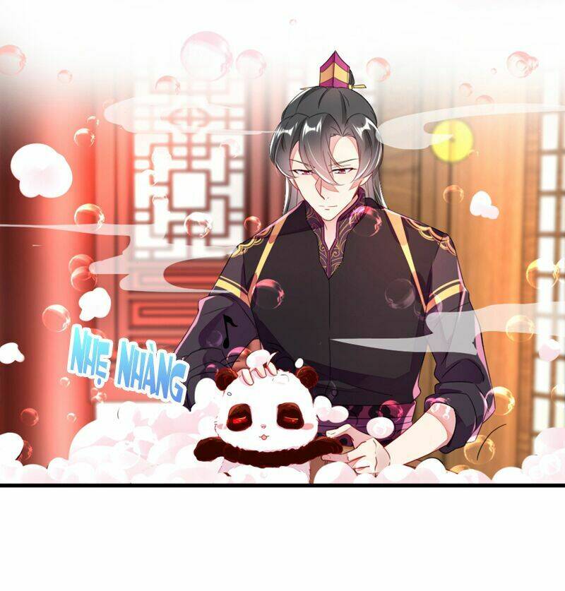 thiên thần gấu trúc muốn được ôm chapter 13 19