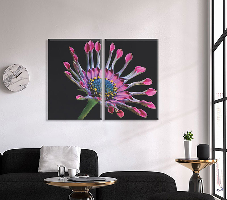 Bộ 2 Tranh Canvas "Nhất Hương"  W145