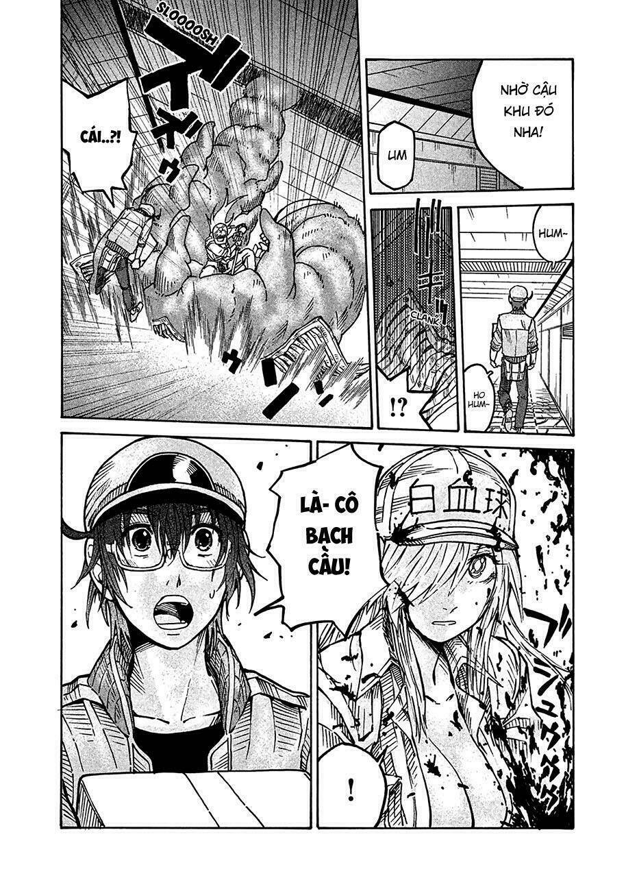 biệt đội tế bào black - hataraku saibou black chapter 10 33