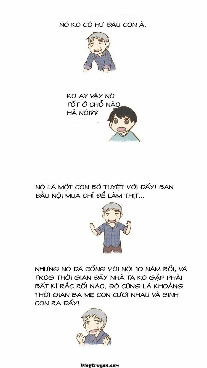 my kitty and old dog chapter 19 4