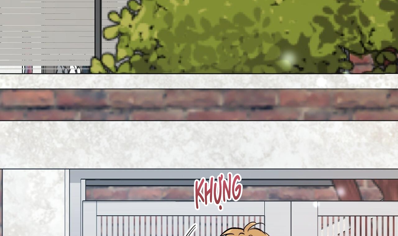 đàn thỏ của habibi chapter 44 247