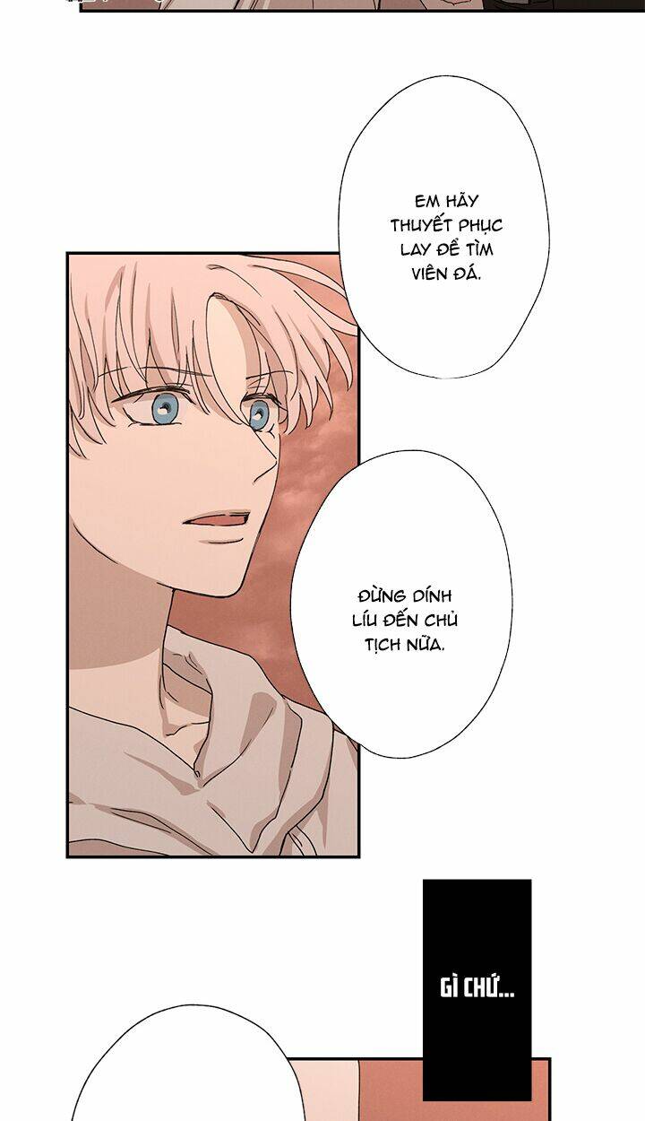 trốn tìm chapter 22 17