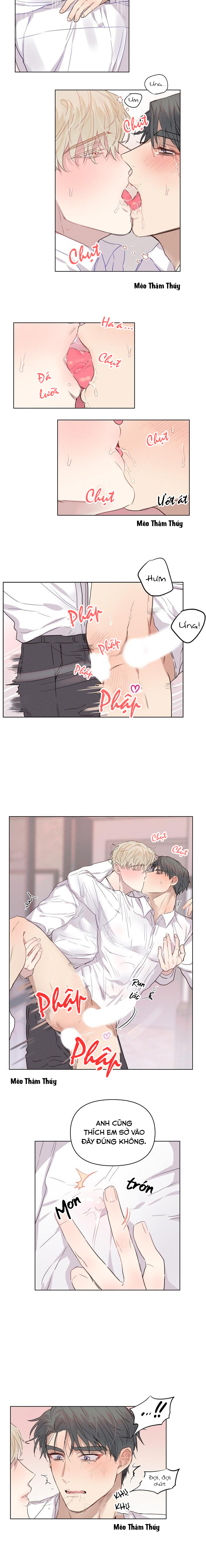 nơi tình yêu định mệnh chapter 6 6