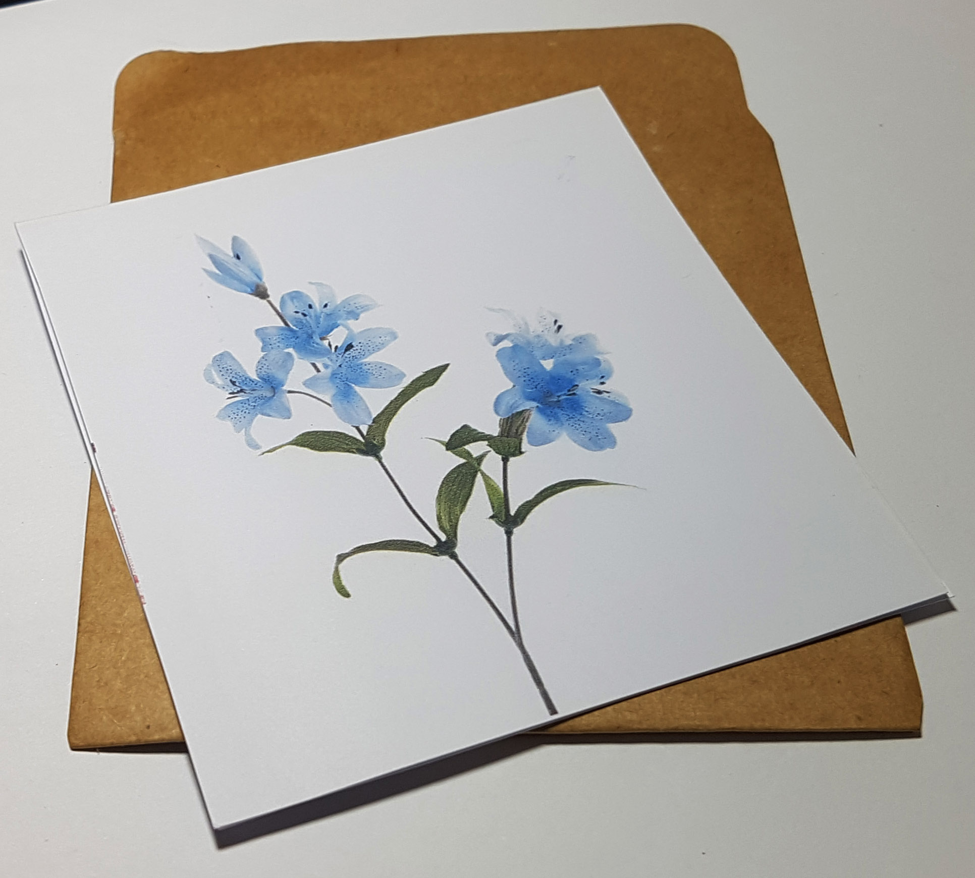 Thiệp phong cách Vintage card quà cám ơn ,chúc mừng sinh nhật và giử tặng người thân yêu