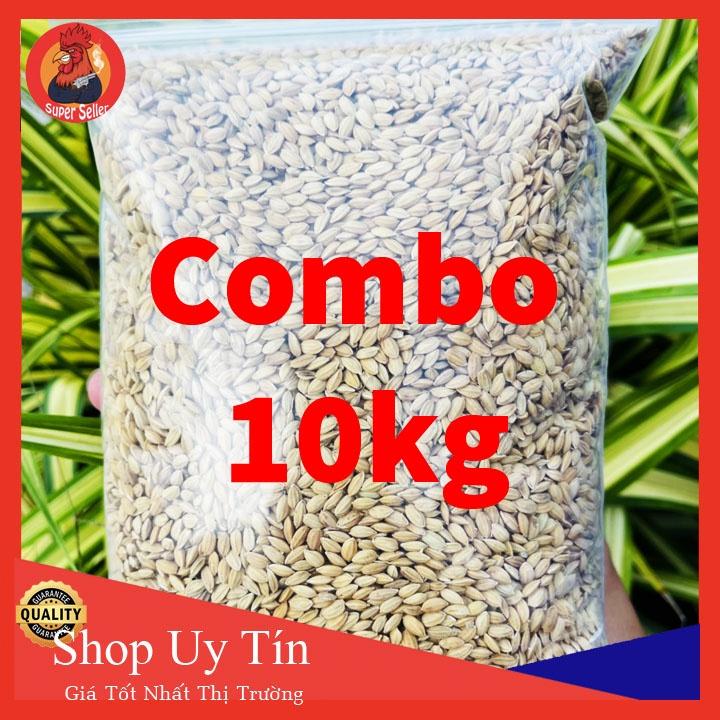 Combo 10kg Lúa Nhật Cho Gà Ăn
