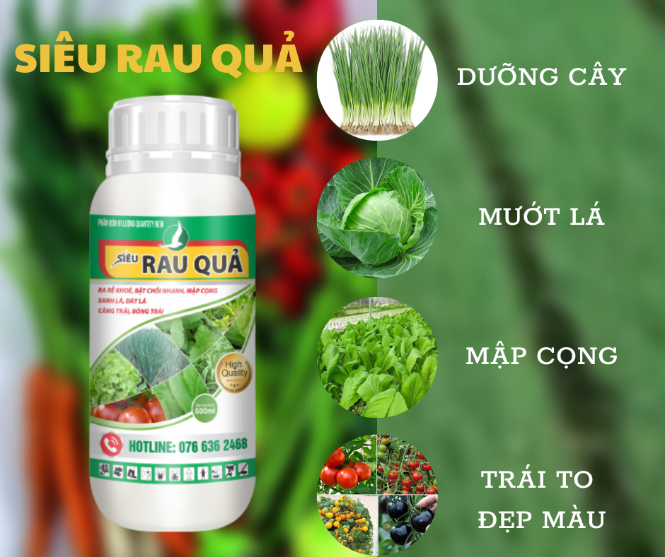 Phân bón chuyên rau ăn lá - SIÊU RAU QUẢ 500ml