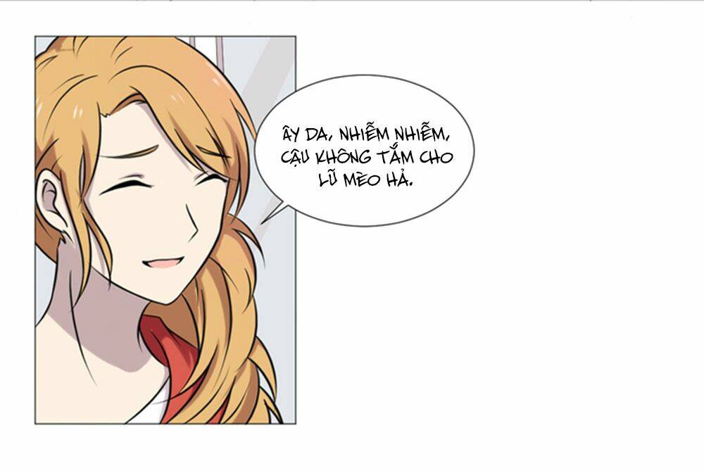 hai chú mèo totem chapter 36 16