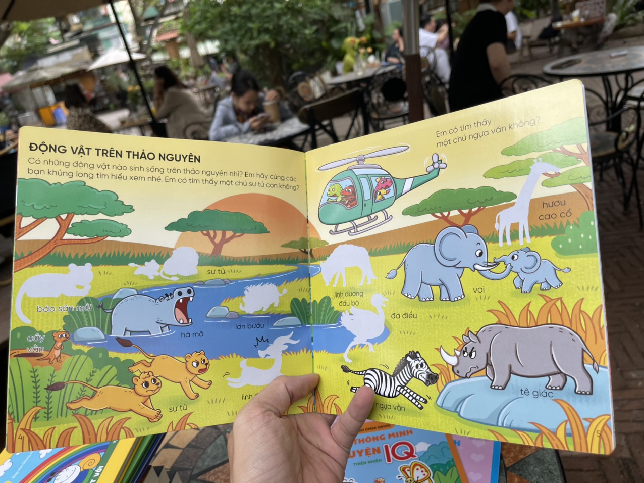 BÓC DÁN THÔNG MINH RÈN LUYỆN IQ - Bông Hoa đỏ Bang Son - Dịch giả: Hoàng Phúc – Vizibook – bìa mềm