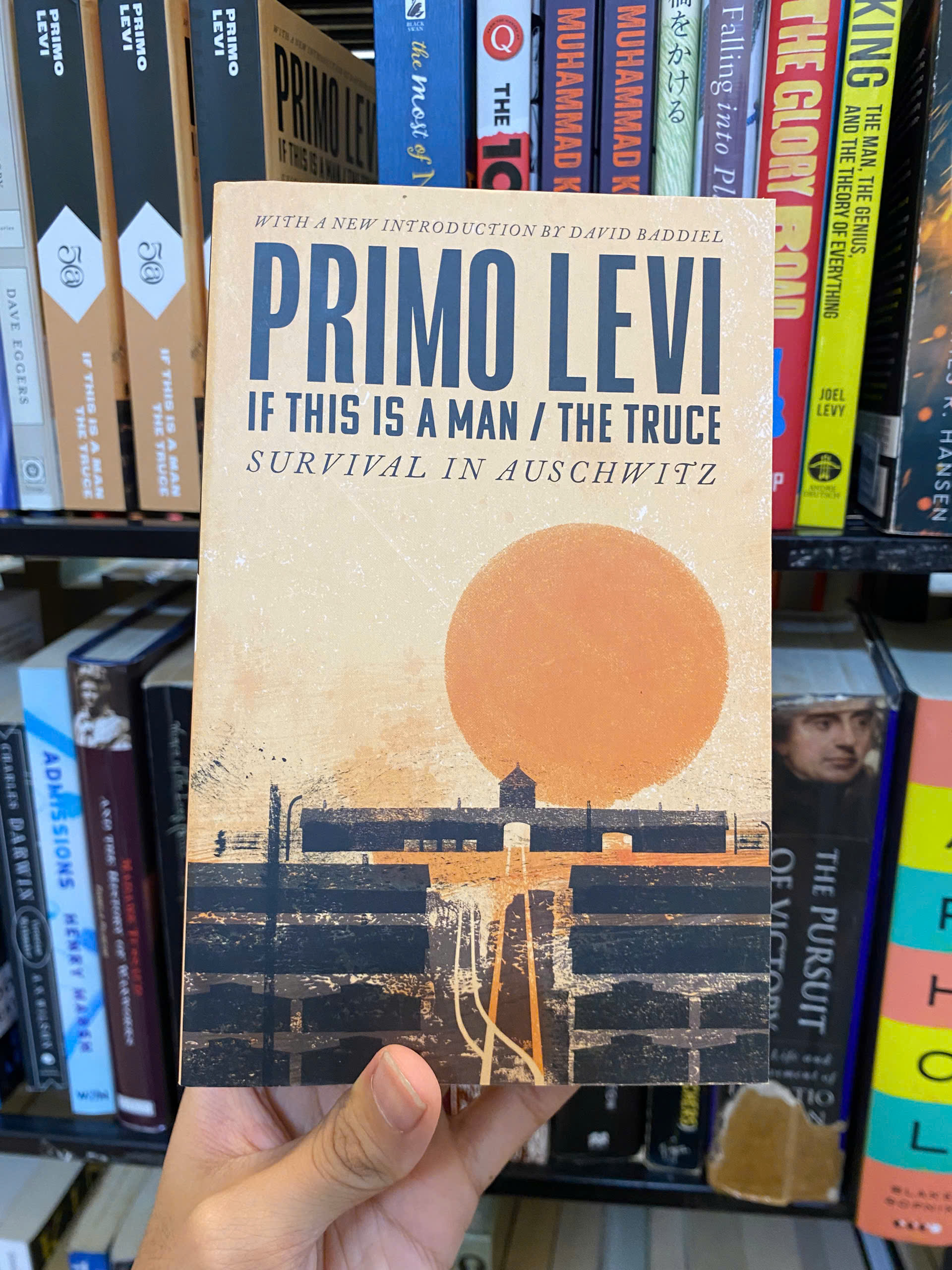 Sách - If This Is A Man / The Truce by Primo Levi | English Classic Memoir of the Holocaust