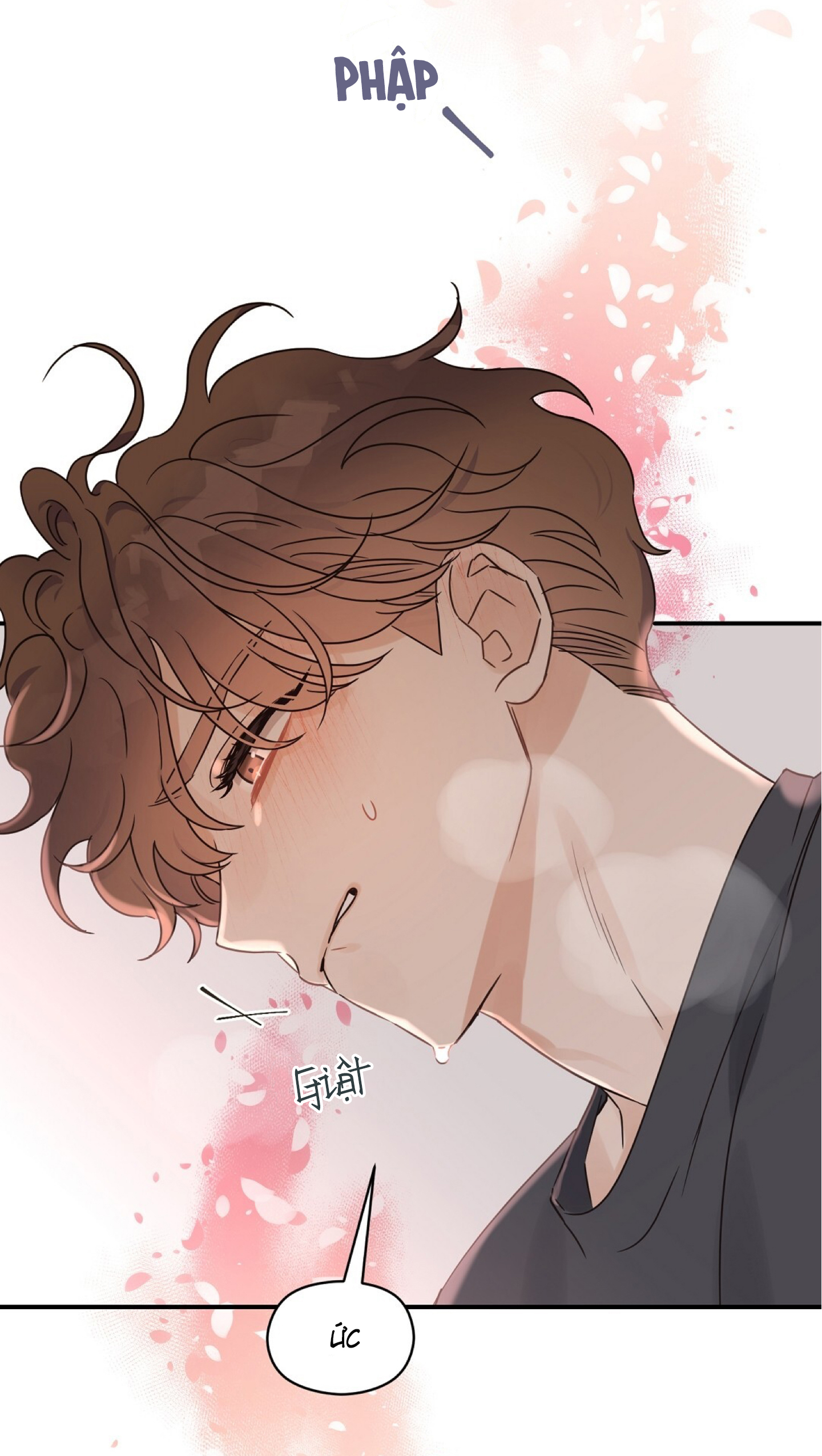 phức cảm tự ti của omega chapter 39 55