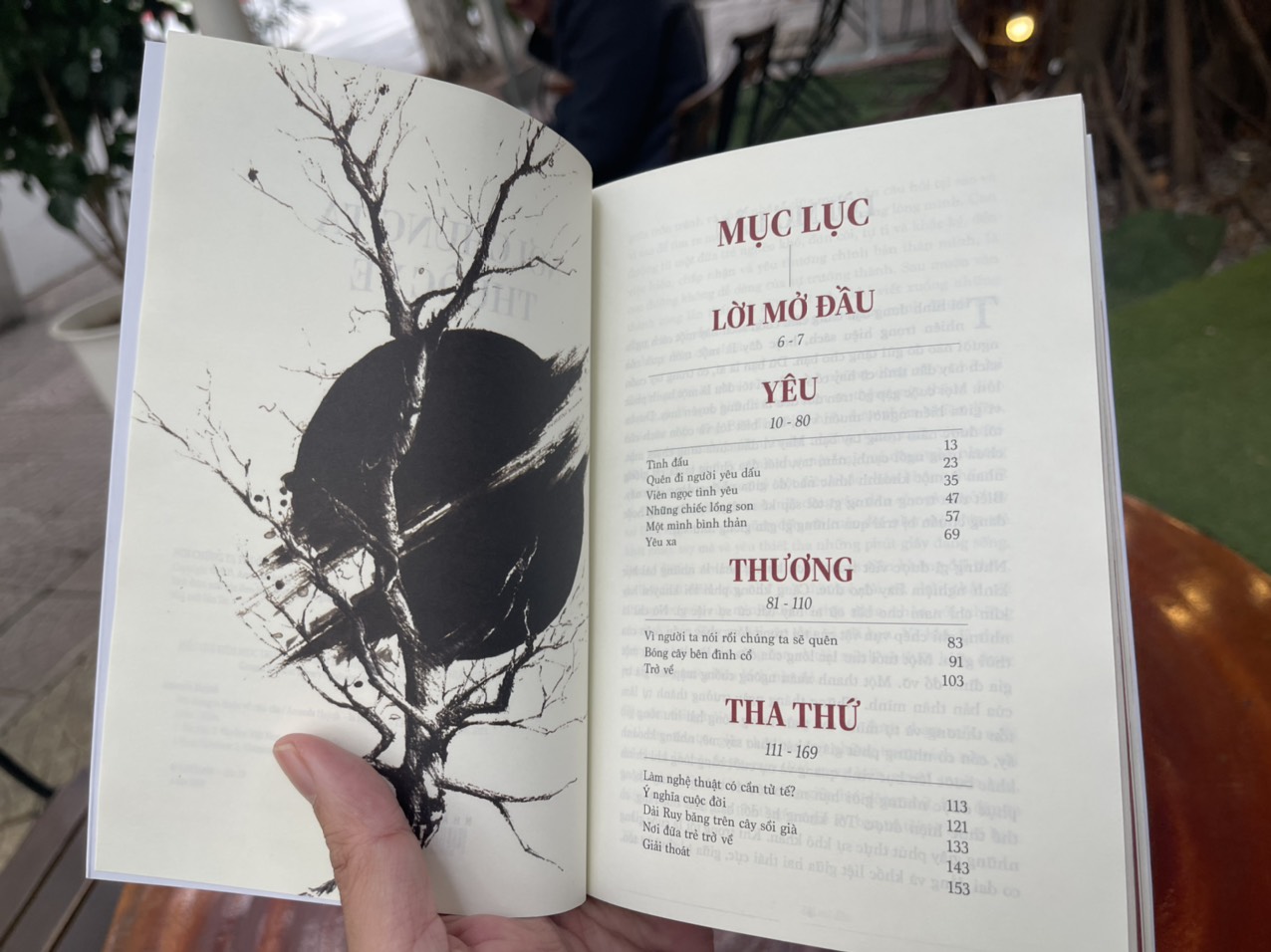(Minh họa in màu tác giả thiết kế) NƠI CHÚNG TA THUỘC VỀ – Amanda Huynh - Nxb Trẻ - bìa mềm