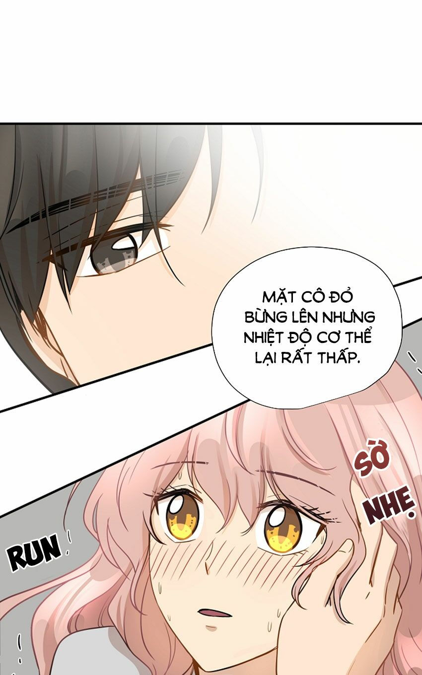 cuộc sống kỳ thú chapter 12 33