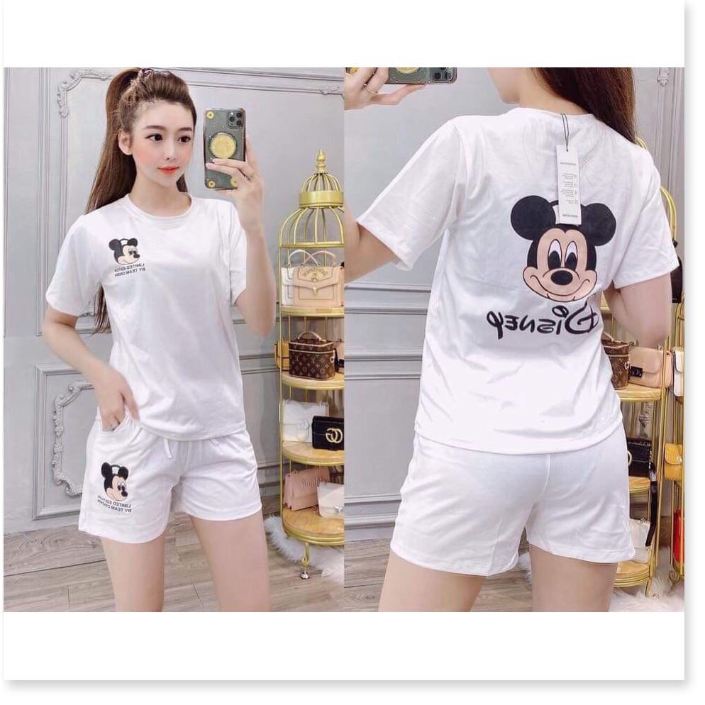 Set áo thun nữ quần đùi nữ cotton