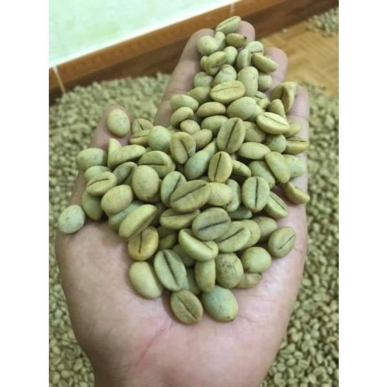 200 GRAM Hạt giống Cây Cà Phê Xanh Lùn [ Trường sơn TS5 ] [ Cao sản ] HẠT TUYỂN CHỌN [ freeship xtra + hoàn xu + ] [ GHN ]