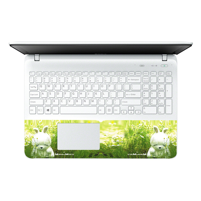 Mẫu Dán Decal Laptop Logo LTNT-253