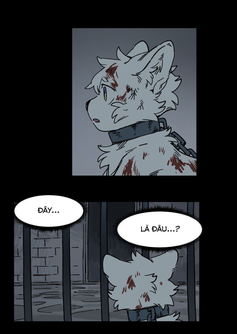 lumine - cội nguồn ánh sáng chapter 138 7