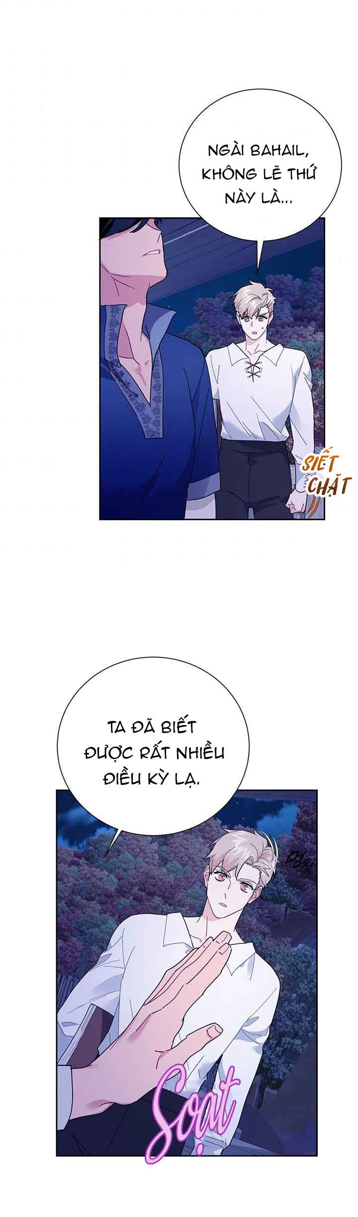 công chúa của loài chim chapter 41.1 3