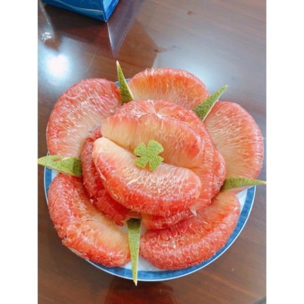 Cây giống bưởi da xanh ruột Hồng cho năng suất cao. cây giống thuần chủng F1