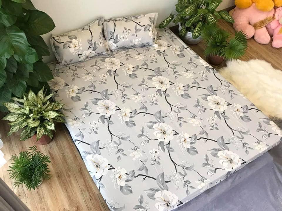 Set 5 món chăn hè ga chun Cotton Poly - Hoa Ghi - Tặng kèm 1 móc khóa Houston
