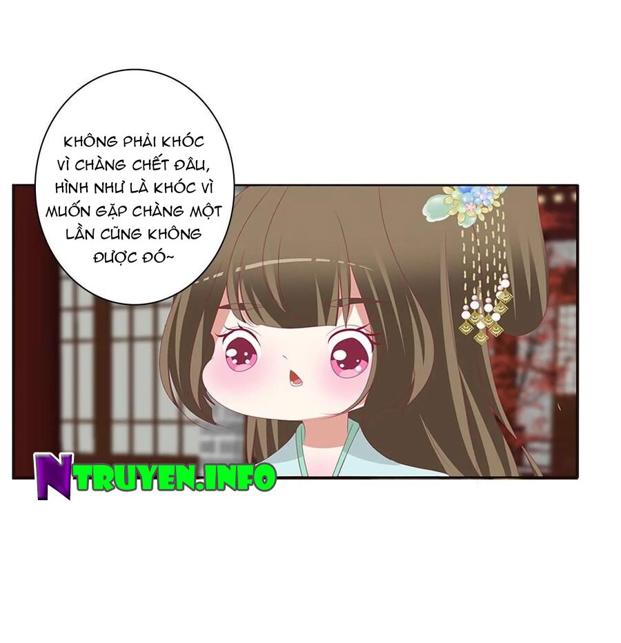 thông linh phi chapter 608 6