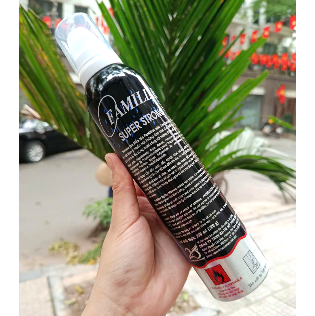 Mousse Tạo Kiểu Tóc Familiar Giữ Nếp Mạnh 250ml