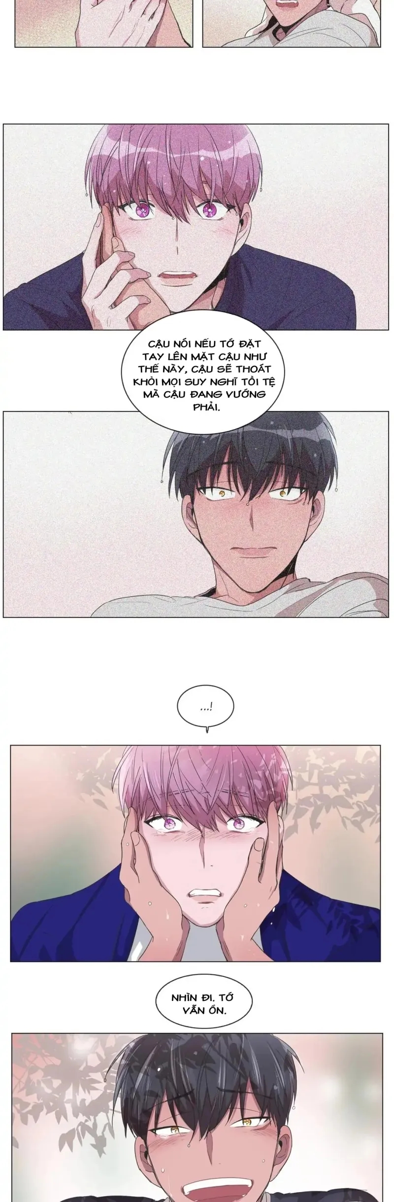 kí ức giả dối chapter 48 15