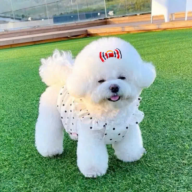 NƠ KẸP TÓC CÀI TÓC THỜI TRANG DỄ THƯƠNG PHONG CÁCH ÂU MỸ  MÃ 34 CHO THÚ CƯNG CHÓ MÈO