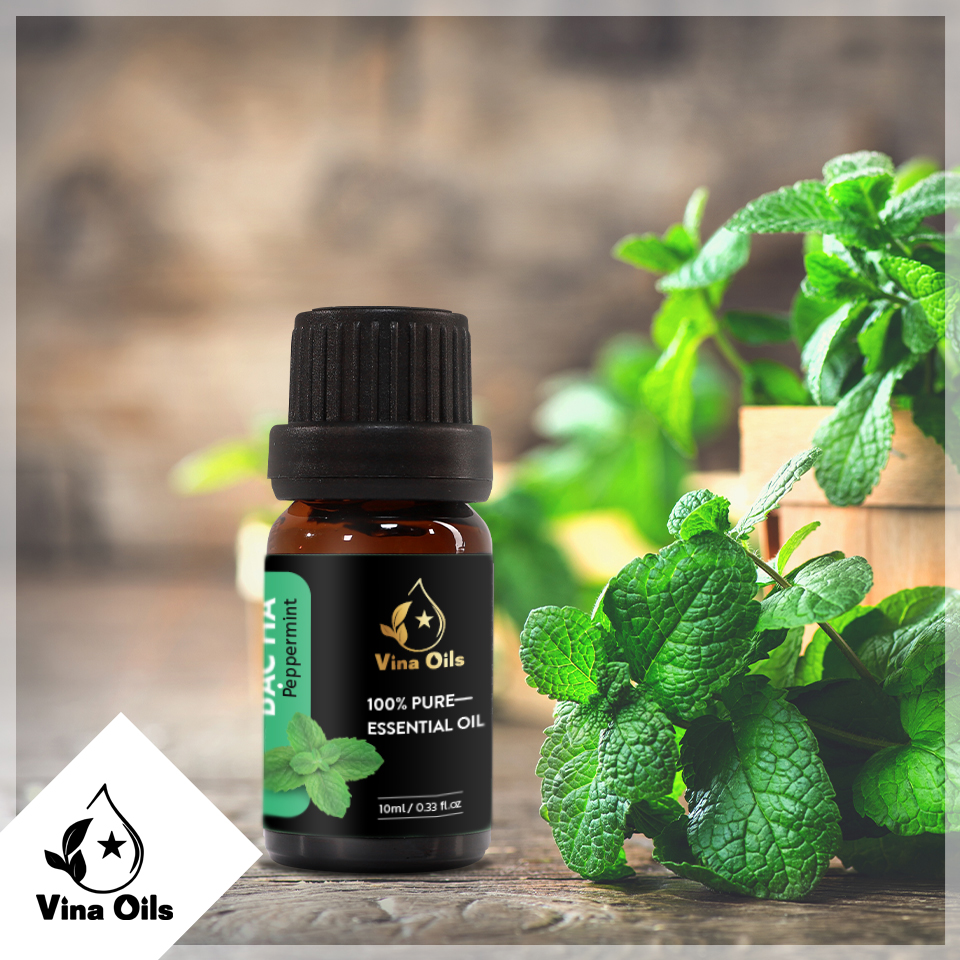 Tinh Dầu Bạc Hà Vina Oils 10ml - Peppermint Essential Oil 10ml - Được Chiết Xuất Từ Thiên Nhiên Nguyên Chất 100% - Dùng Khử Mùi, Kháng Khuẩn, Thư Giản, Đuổi Mũi, Giảm Đau Nhức