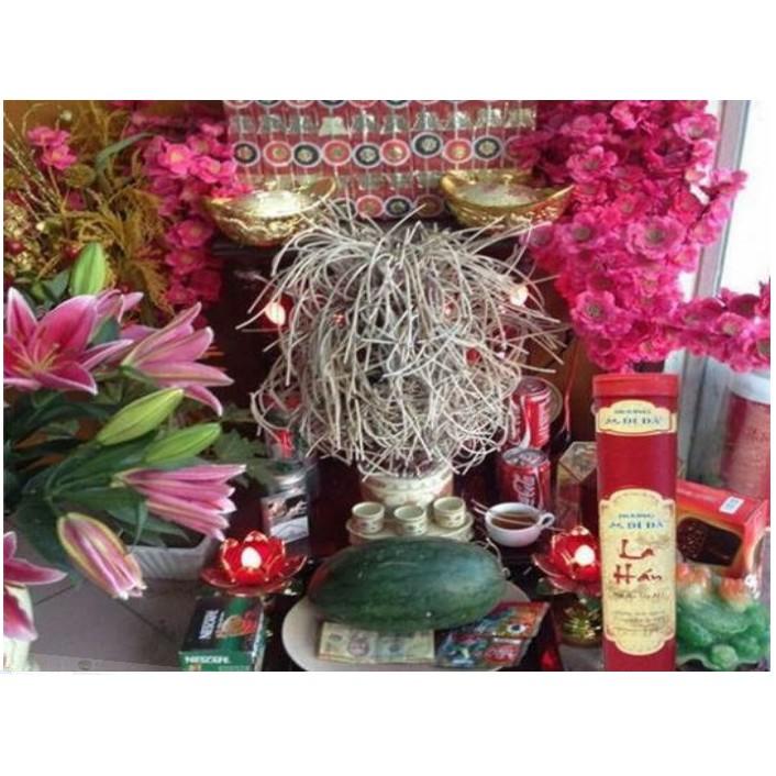 Combo 10 tép Nhang La Hán không độc hại-cuộn vòng
