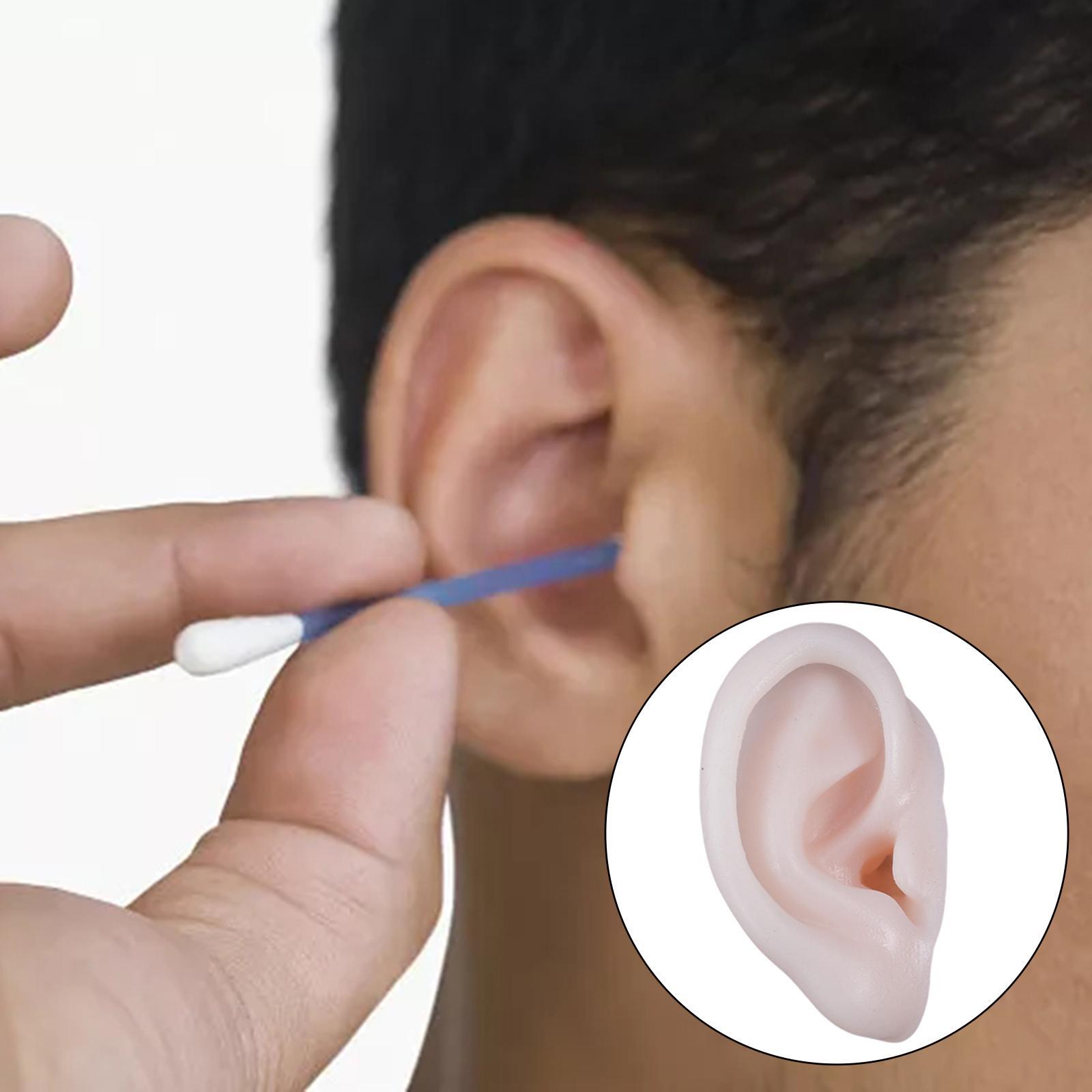 Ear Model, Soft Silicone, Props Teaching Tools Acupuncture Practice Model for Educational