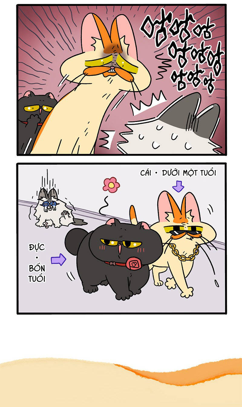 a mãn và mạch trà chapter 35 6