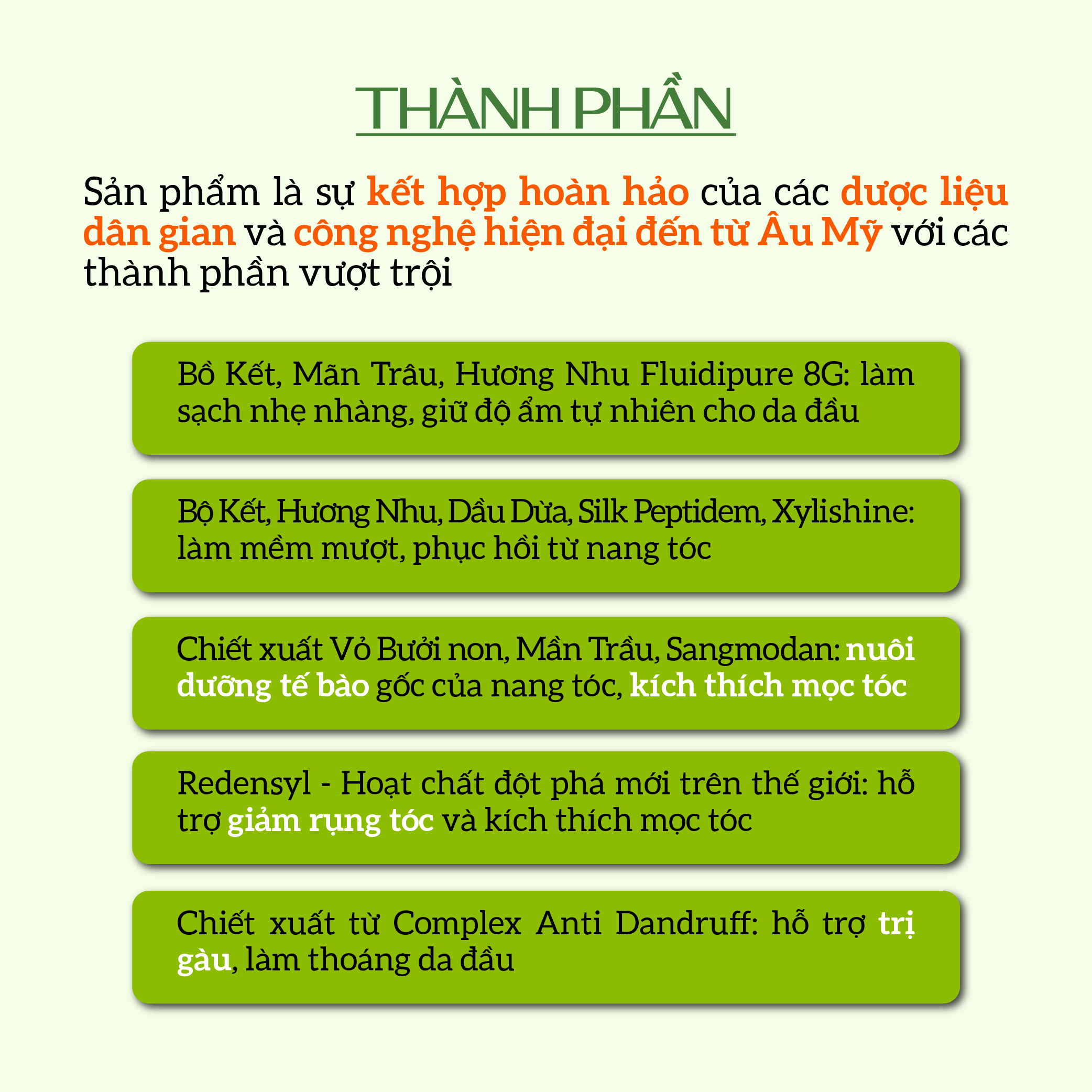 Dầu gội thảo dược sạch gàu, giảm xơ rối ECOCARE PREMIUM 300ml đạt chuẩn CGMP, dầu gội xả thiên nhiên