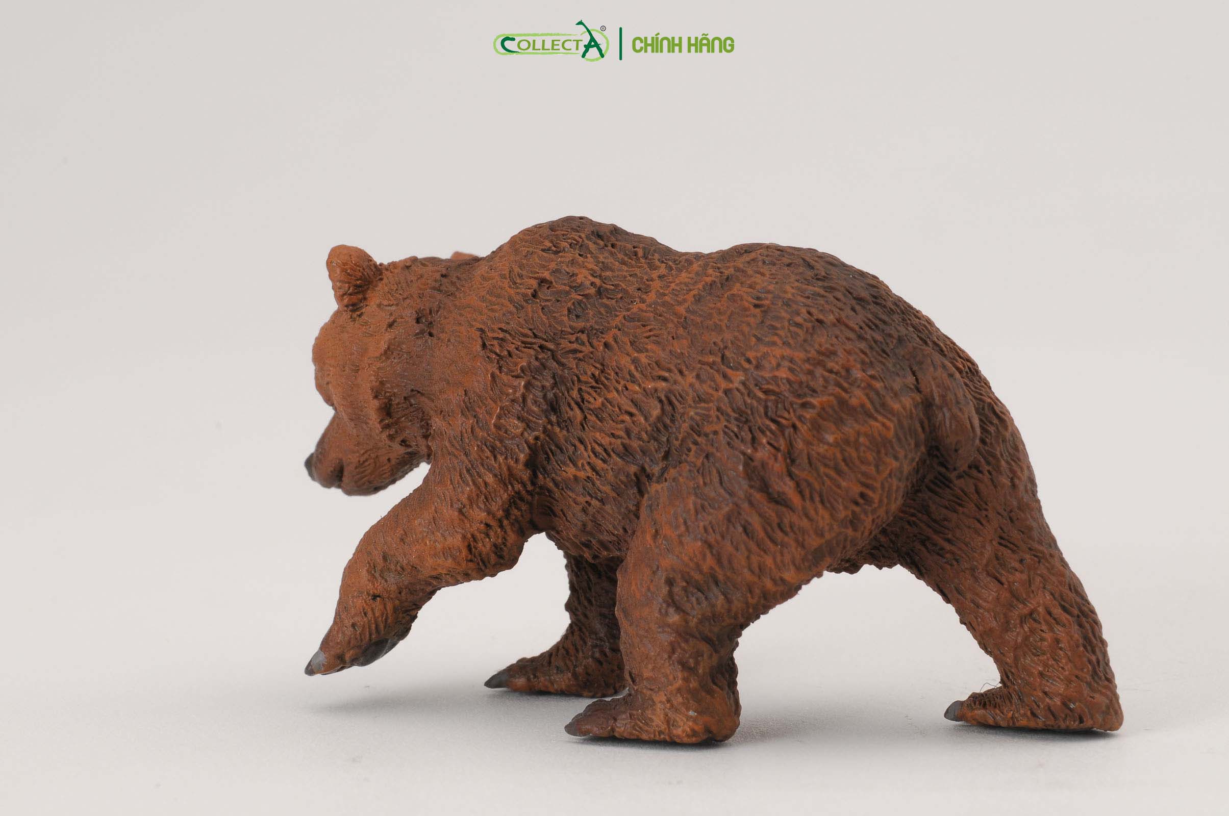 Mô hình thu nhỏ: Gấu Nâu con - Brown Bear Cub, hiệu: CollectA, mã HS 9651231[88561] -  Chất liệu an toàn cho trẻ - Hàng chính hãng