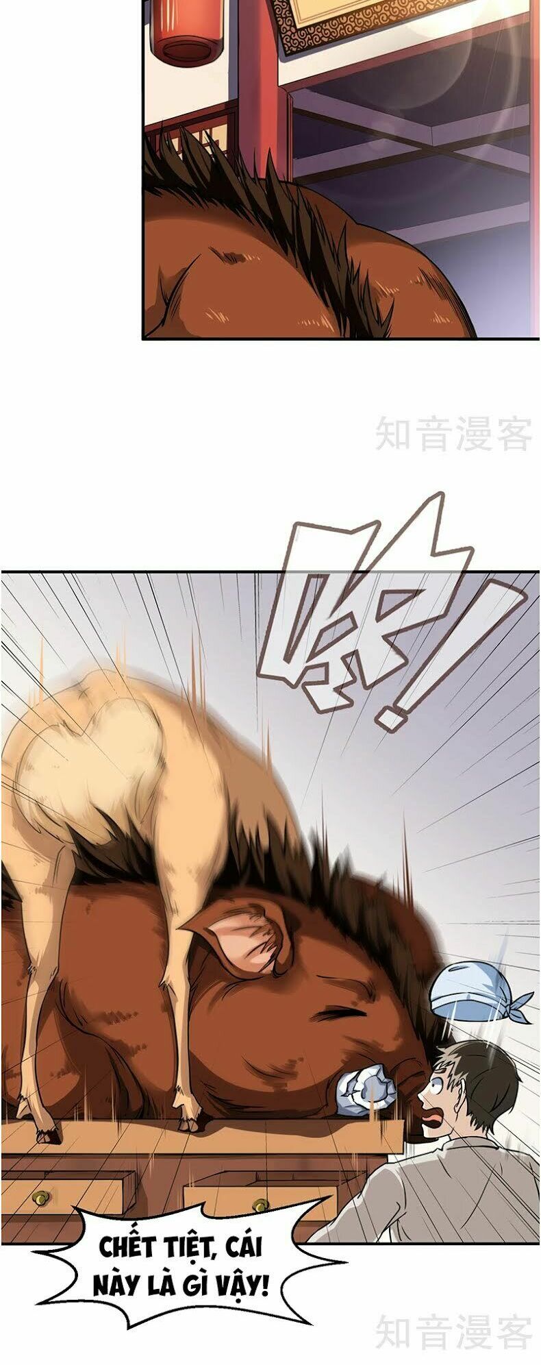 võ đạo độc tôn chapter 11 9