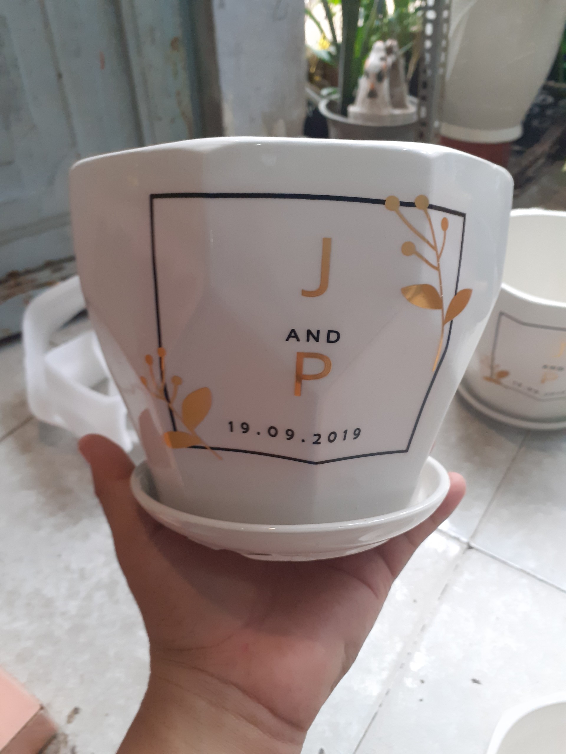 BỘ 3 Chậu kèm dĩa BÁT GIÁC J&P . 1 CHẬU SIZE TRUNG .