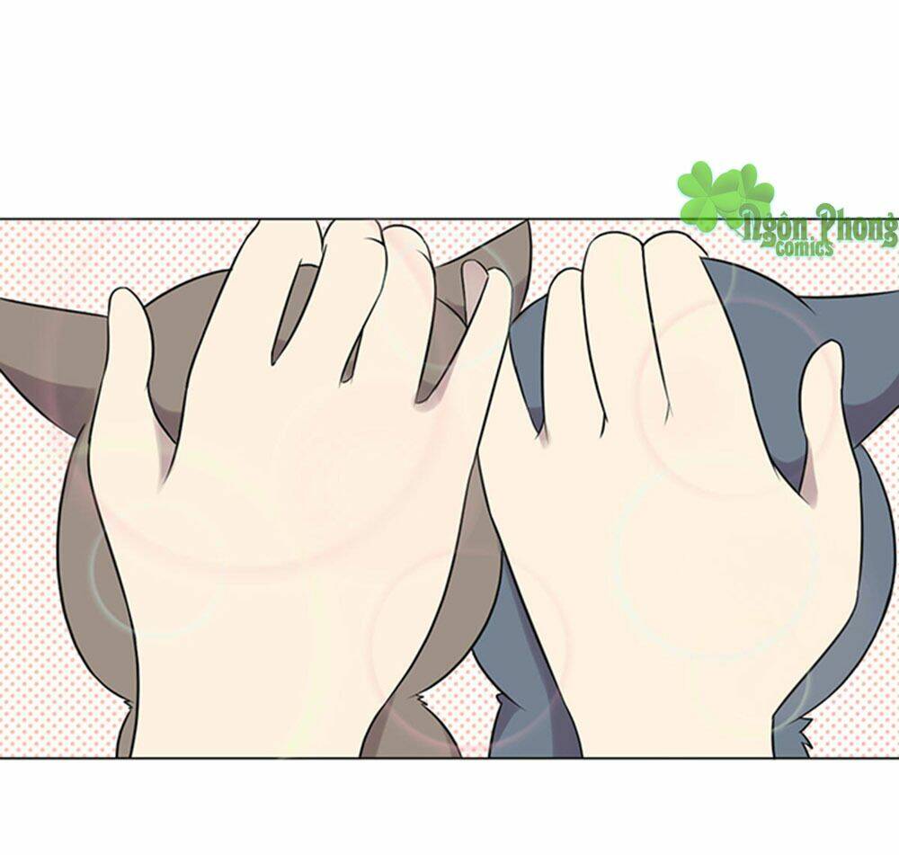hai chú mèo totem chapter 39 24