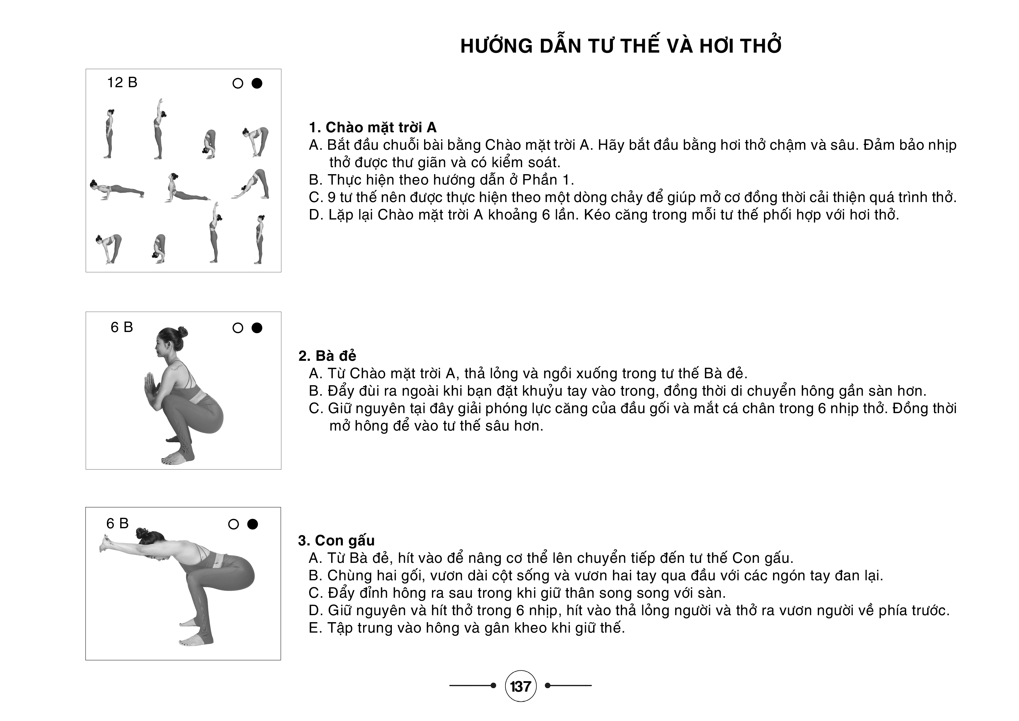 Hệ thống 1500 biến thể tư thế - 100 chuỗi bài yoga liên hoàn