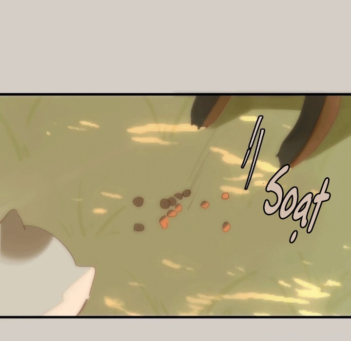 đêm đầy sao nói với em chapter 17 3