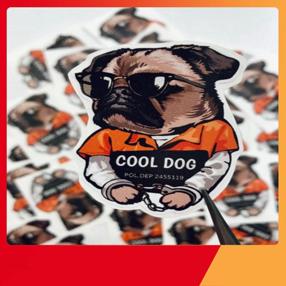 STICKER COOL DOG tính tình DÁN tô điểm laptop LAPTOP VALI MŨ bảo đảm xe gắn máy TỦ KỆ,...