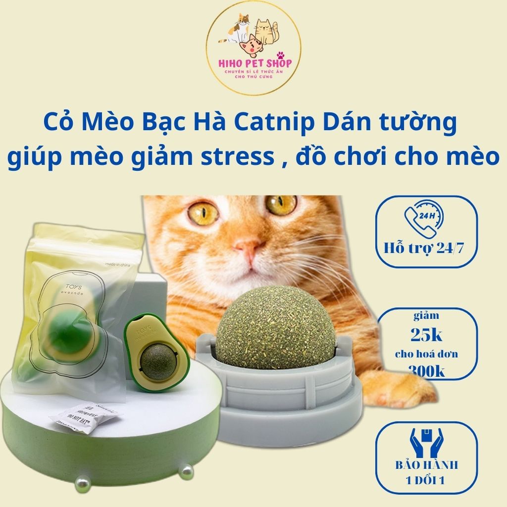 Cỏ mèo bạc hà dán tường Catnip cho mèo giúp mèo giảm stress, đồ chơi cho mèo