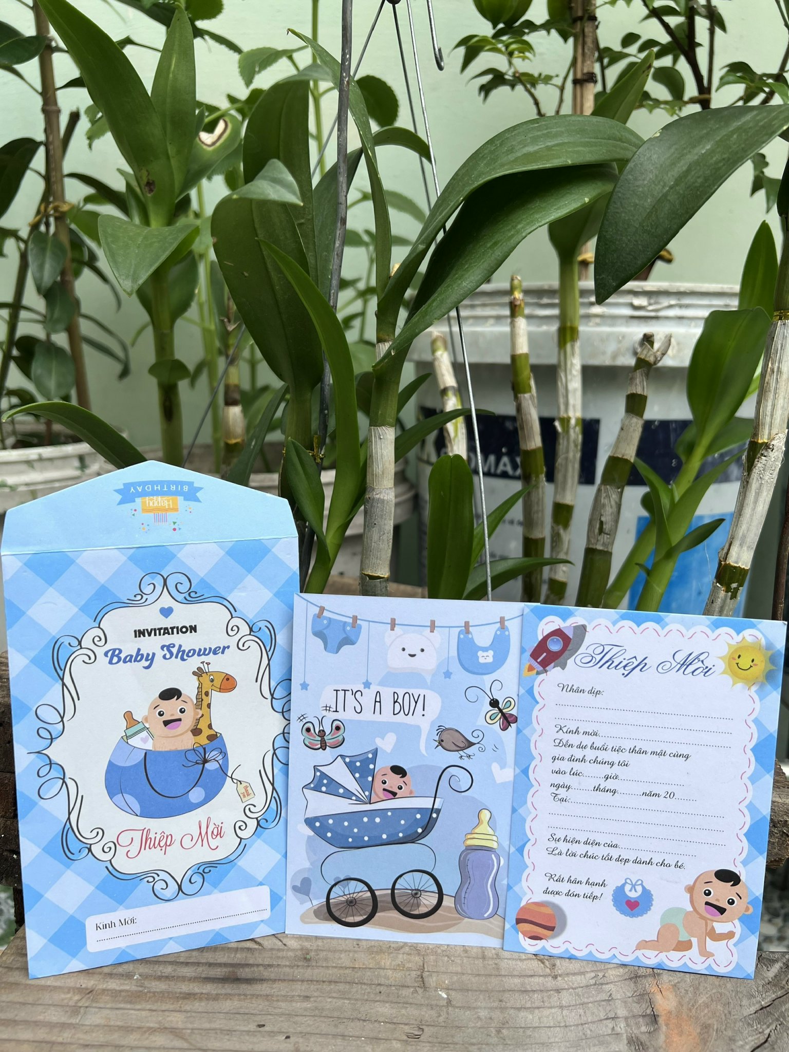 Thiệp Mời Thôi Nôi, Thiệp Mời Sinh Nhật, đầy tháng bé trai